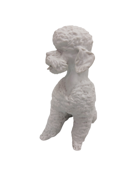 Extra image 3 - Biscuit Kaiser : caniche.