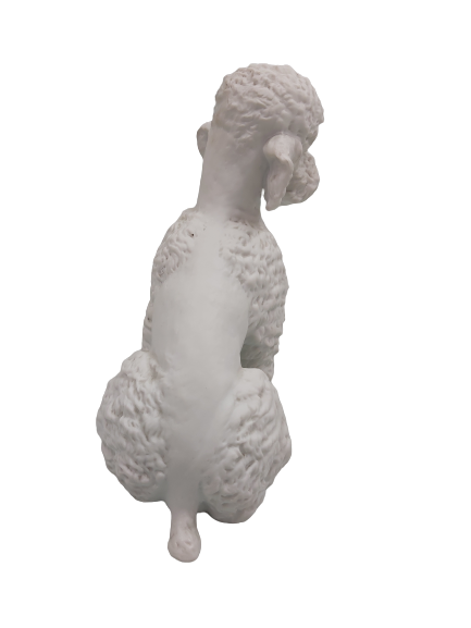 Extra image 4 - Biscuit Kaiser : caniche.