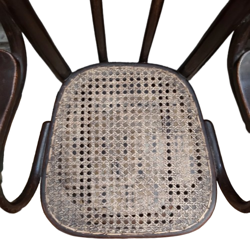 Extra image 5 - Thonet : chaise pour enfant n°2.